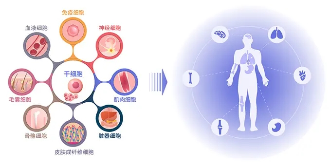 腾博官网-诚信为本,专业服务!