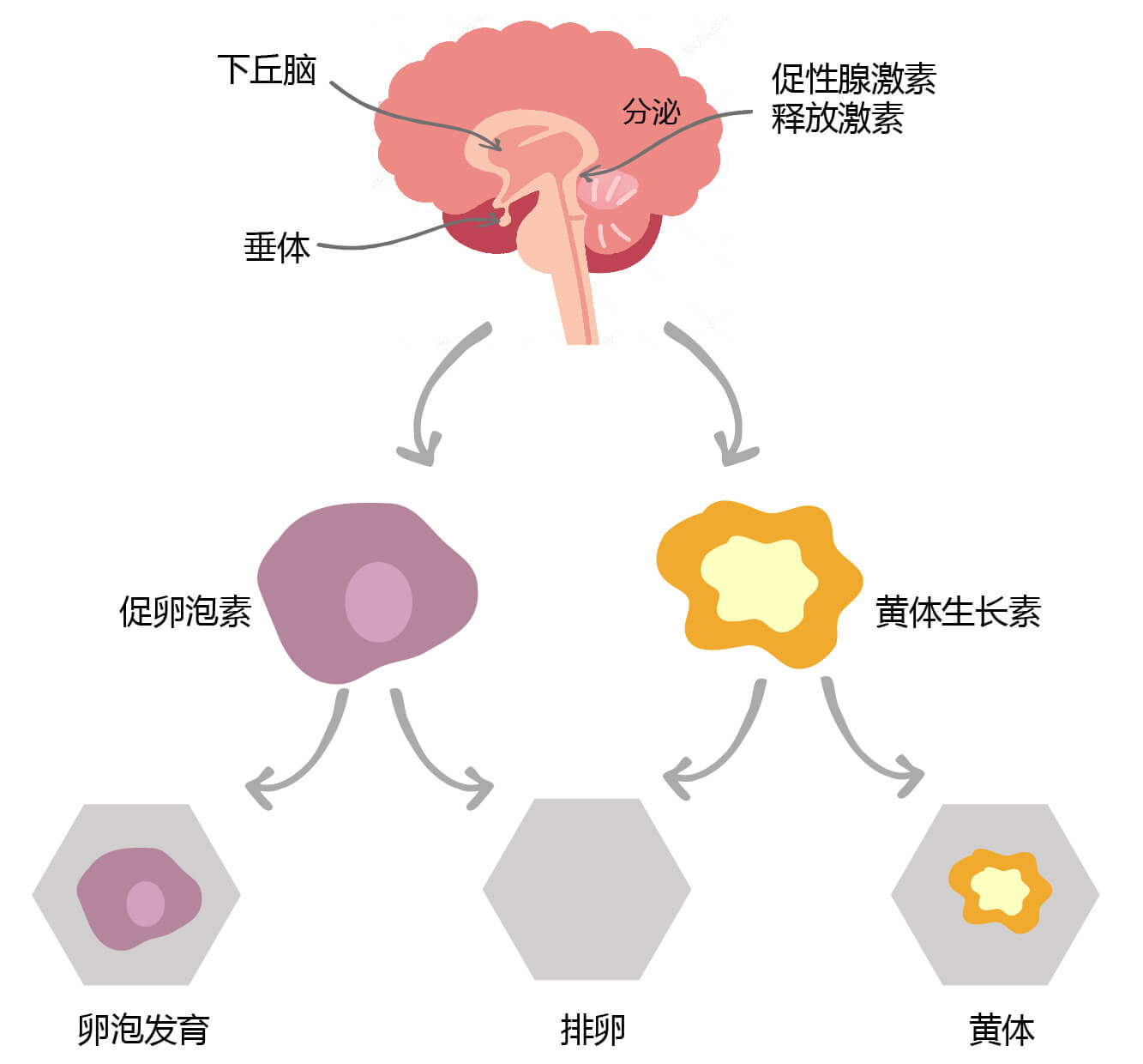 腾博官网-诚信为本,专业服务!