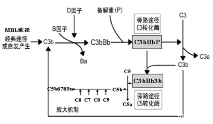 腾博官网-诚信为本,专业服务!