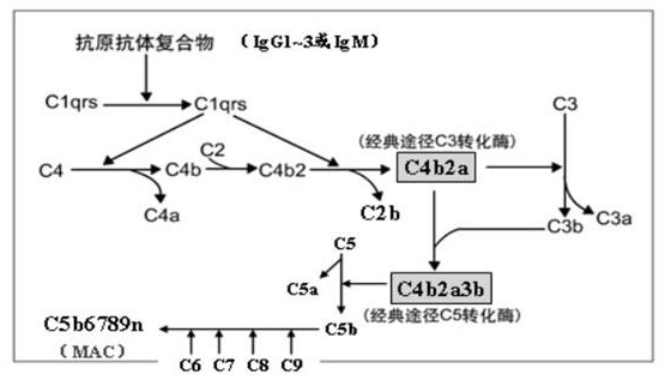 腾博官网-诚信为本,专业服务!